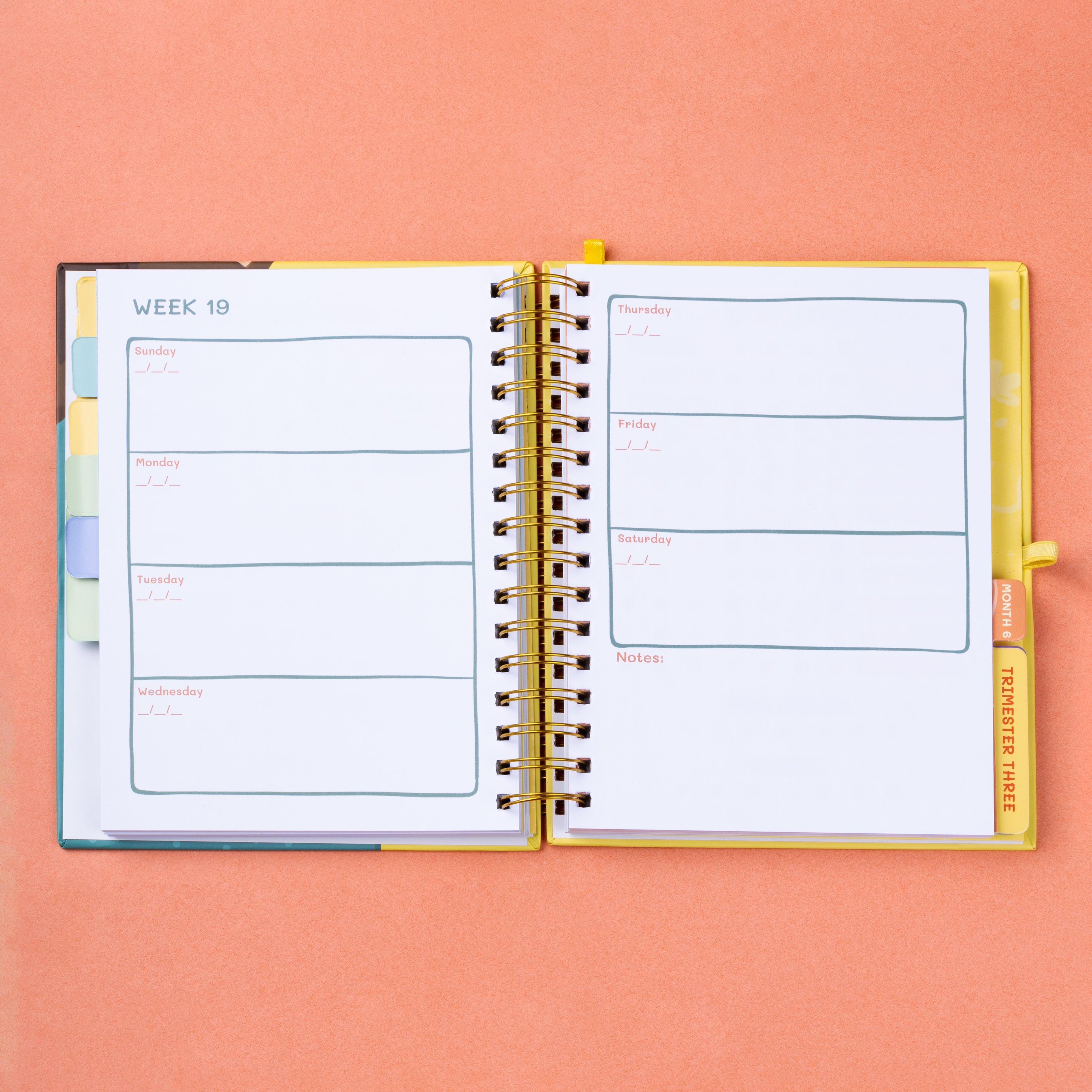 The Ultimate Motherhood Combo Ultimate Pregnancy Journal + Baby Record Book Bundle +All Add Ons - Qwirk Store