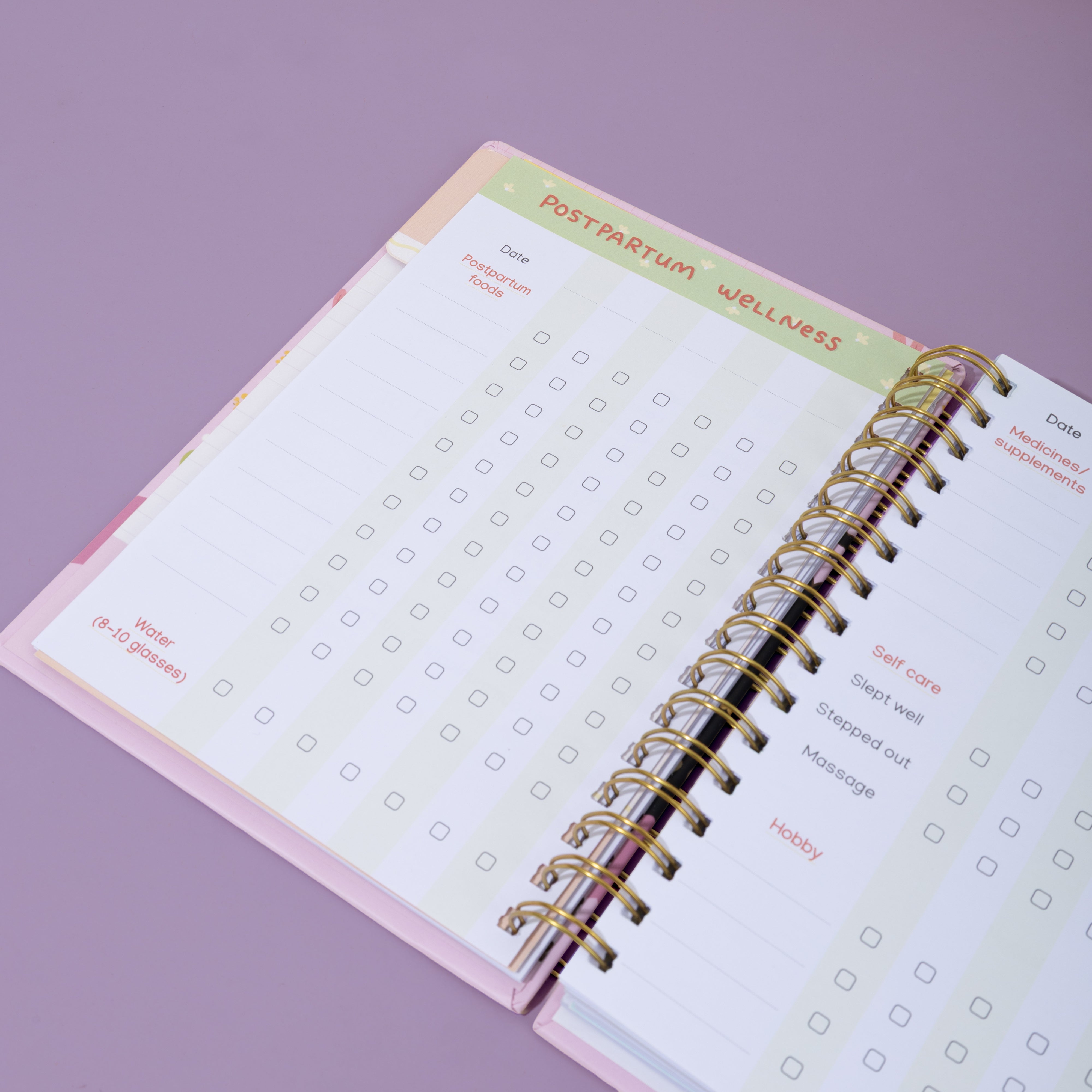 The Postpartum Journal And Companion - Recover, Reflect and Reclaim yourself